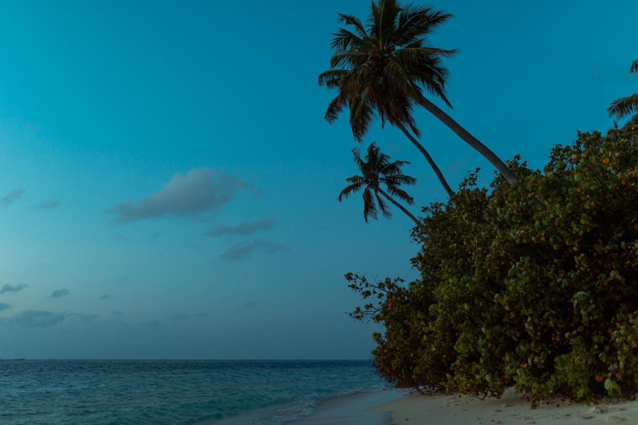 Wow Retreat Hotel Felidhoo Buitenkant foto
