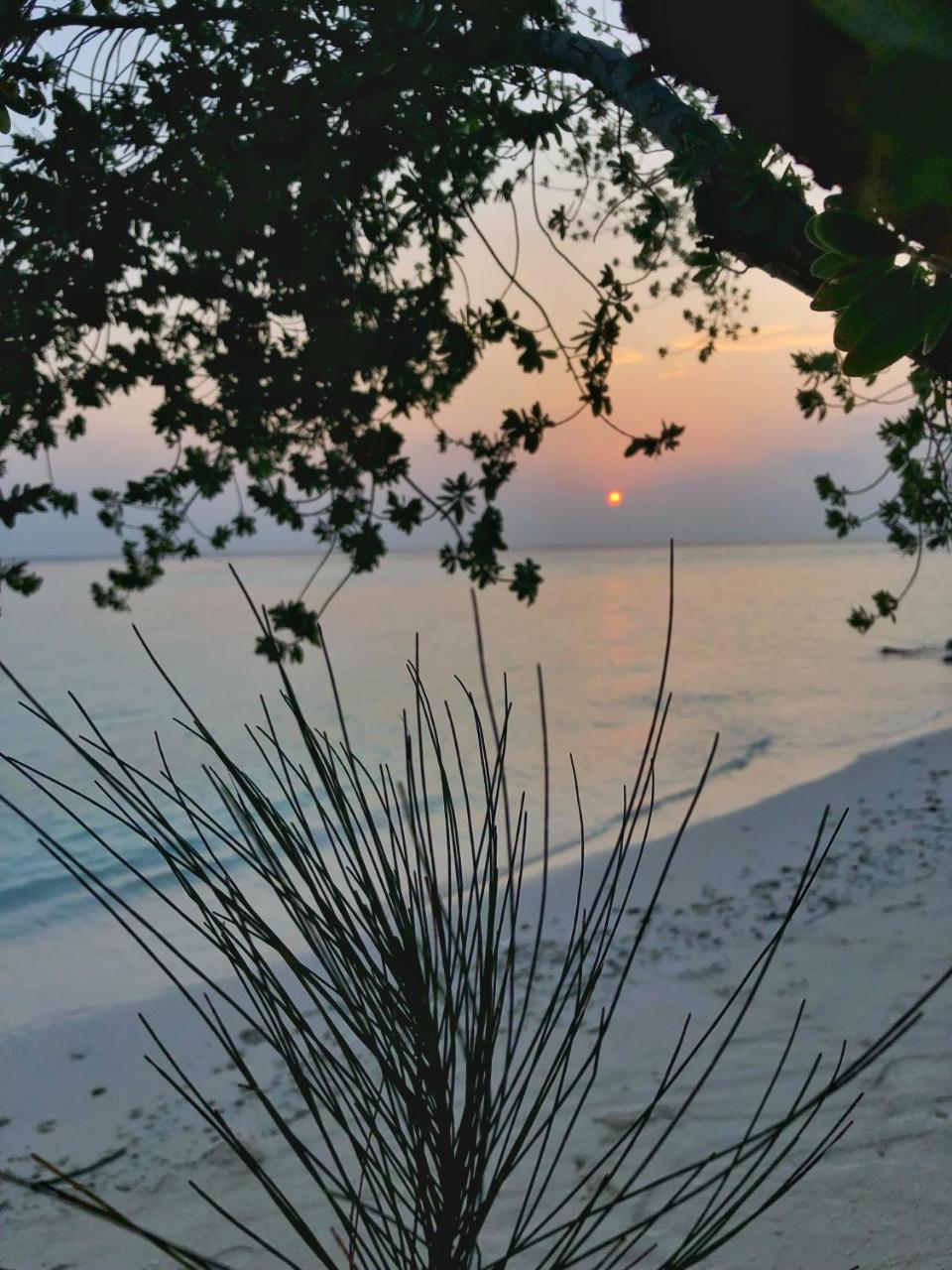 Wow Retreat Hotel Felidhoo Buitenkant foto